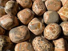 Load image into Gallery viewer, Tumbled Leopard Jasper
